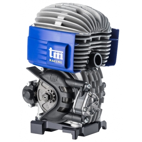 TM 60cc Mini and Baby Complete Engine, mondokart, kart, kart