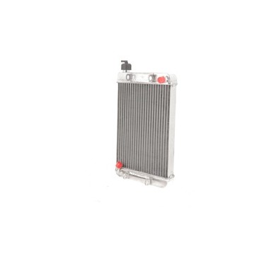 Radiatore Iame X30 BIG 410x230 NEW!, MONDOKART, kart, go kart