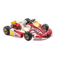 Kart complet Birel Easykart 50cc NOUVEAU!!, MONDOKART, kart, go