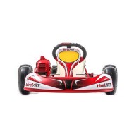 Kart completo Birel Easykart 50cc NEW!!, MONDOKART, kart, go