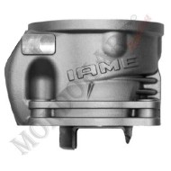 Cylindre Complet Iame OKJ Reedster V, MONDOKART, kart, go kart