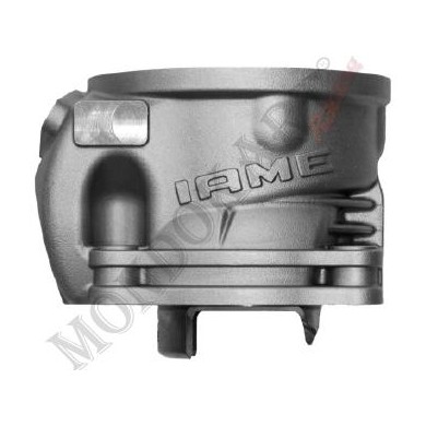 Cilindro completo Iame OK Reedster V, MONDOKART, kart, go kart