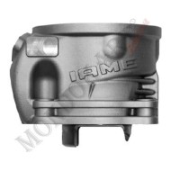 Cylindre complet Iame OK Reedster V, MONDOKART, kart, go kart