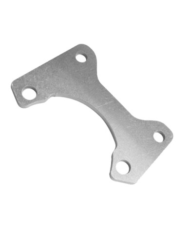 Rear Brake Caliper Support Plate V11 IRON