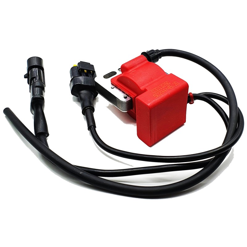 Unidad Control Electronico NEW EKL BMB Easykart 11.000 RPM