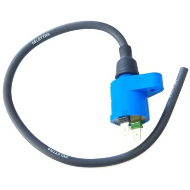 Bobine Allumage Mini 60cc Blue (à partir de 2010), MONDOKART
