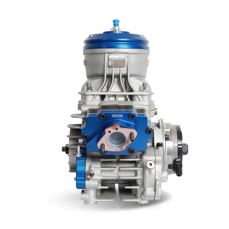 Engine IAME Parilla OKJ (Junior) Reedster V 2025!