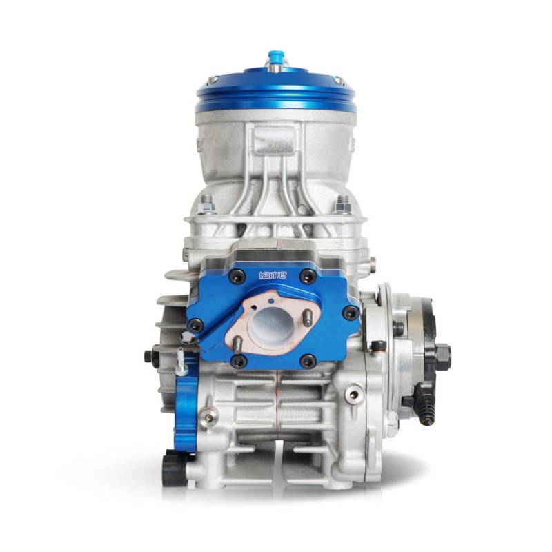 Motore Iame Parilla OK Reedster V 2025!