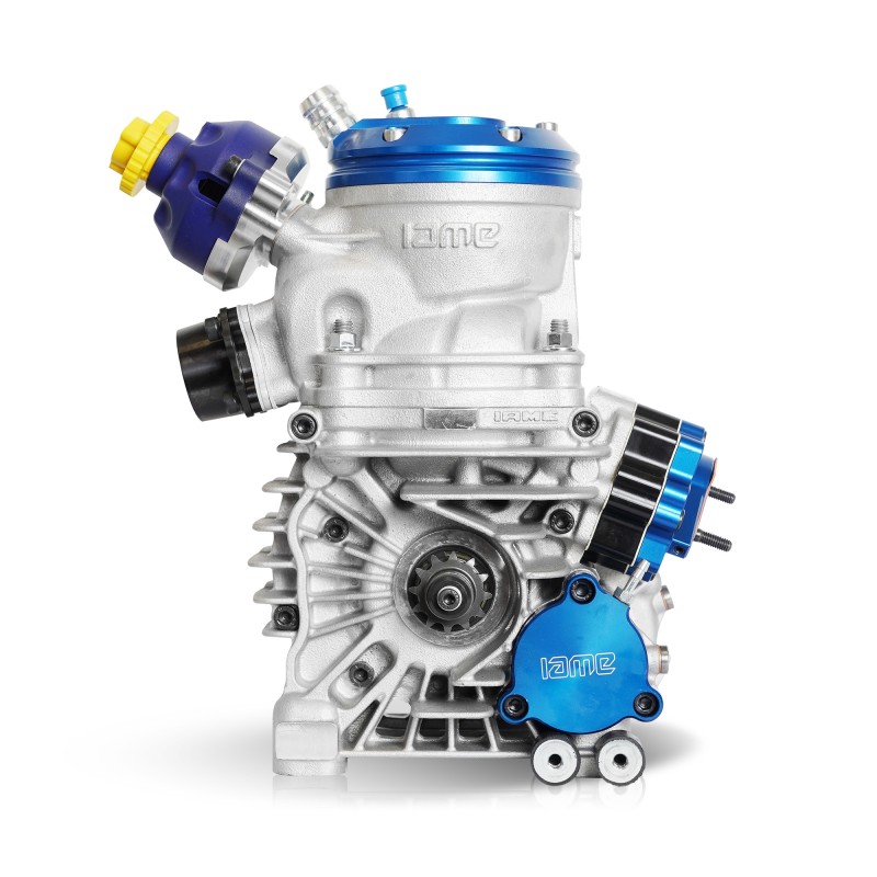 Motore Iame Parilla OK Reedster V 2025!