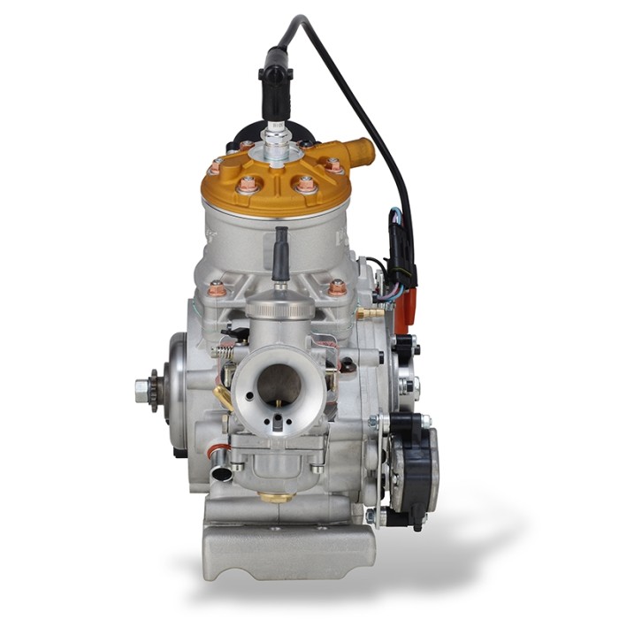 Motore Vortex ROK GP (ROKGP), MONDOKART, kart, go kart