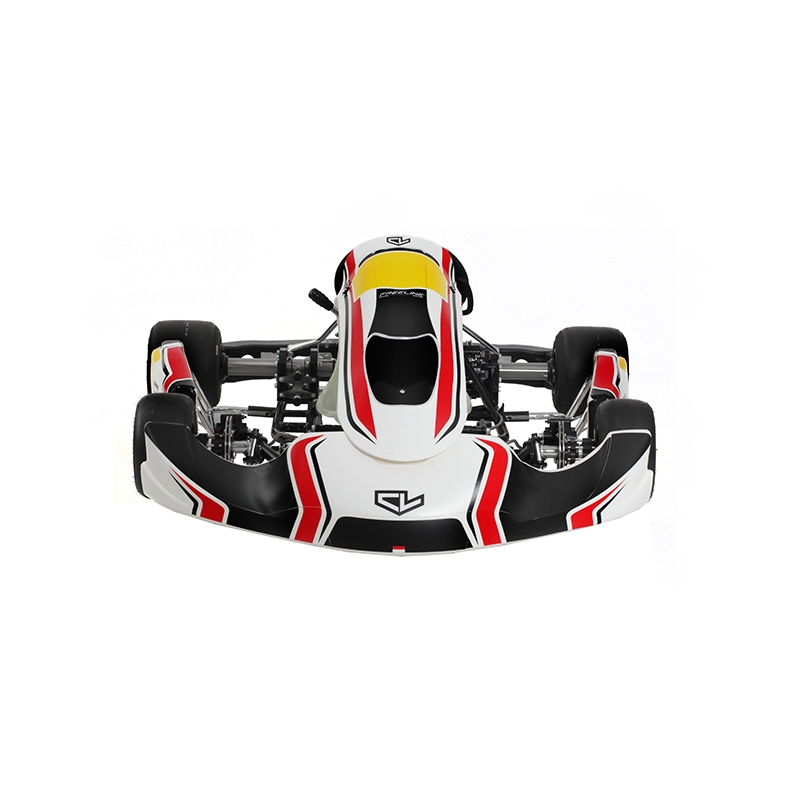 Racing Kart Circuit Kart Birel-Art Charles Leclerc S12 Model 2021 show original title Details about   Kart 