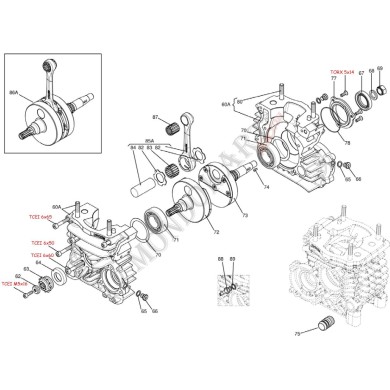 Vilebrequin complet Iame OKJ (Reedster V), MONDOKART, kart, go