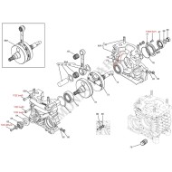 Crankshaft Complete engine Iame OK (Reedster V), mondokart