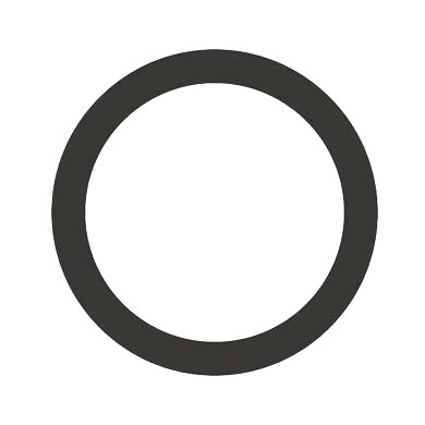 Oring 31,42X2,62 OR032 Bremssattel hinten AP-RACE -01- -06-