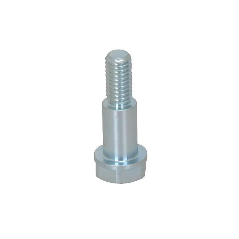 Vite M6-D8 L.12,2mm per Disco Freno Posteriore FLOTTANTE
