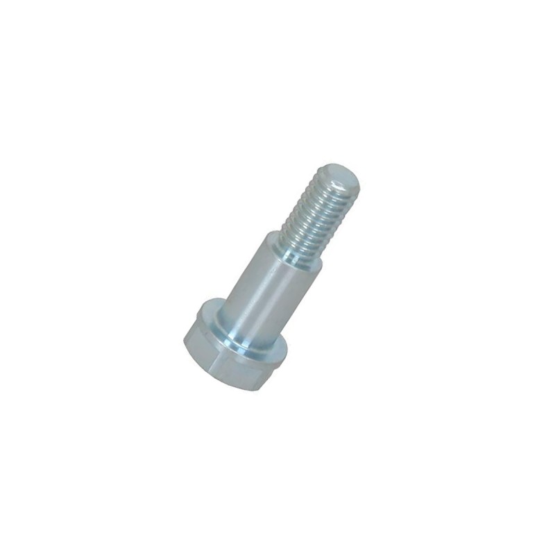Vite M6-D8 L.12,2mm per Disco Freno Posteriore FLOTTANTE