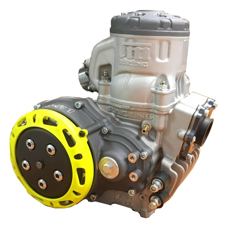 TM KZ R1 TITAN EDITION! Complete Engine, mondokart, kart, kart