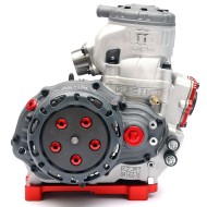 TM KZ R1 TITAN EDITION! Complete Engine, mondokart, kart, kart
