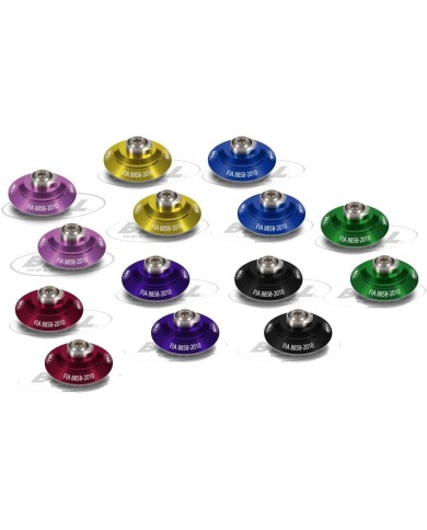 Fixations COLORED HANS FIA 8858-2010 8859-2015 BELL