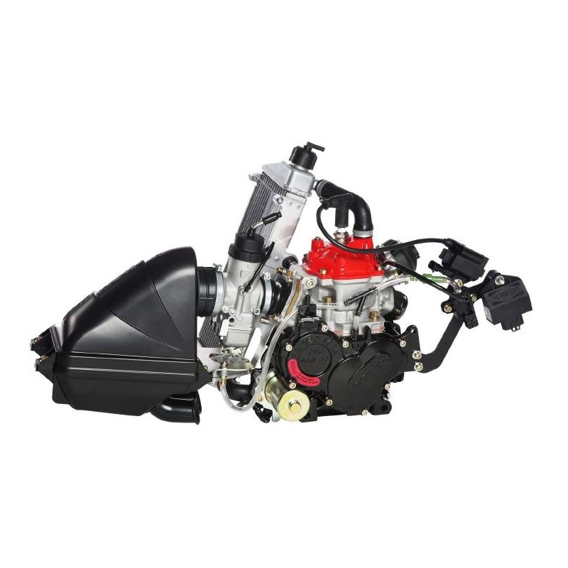 Motor Rotax MAX EVO MAYOR, MONDOKART, kart, go kart, karting