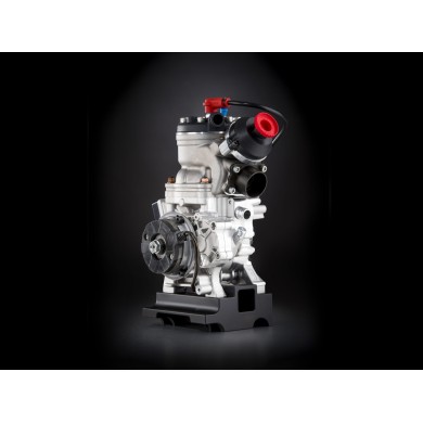Modena ME-K (OK Senior) 125cc - 2025!!