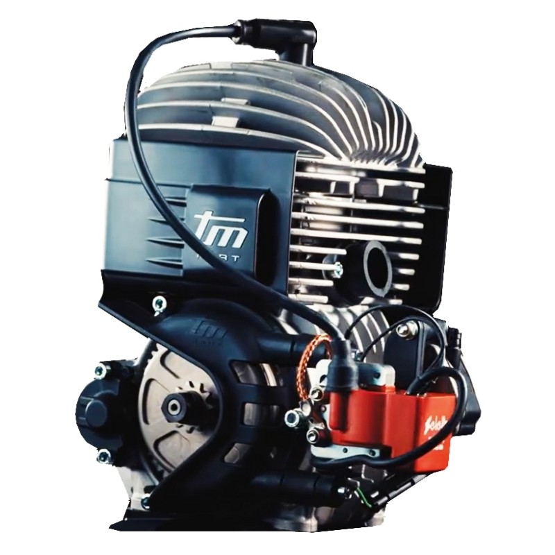 TM 60cc Mini and Baby Complete Engine - MINI - 3 2025!