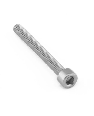 Screw Allan Head M5x45 mm