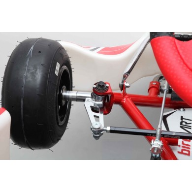 Chasis BirelArt Mini C28 S18 2025!