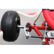 Chasis BirelArt Mini C28 S18 2025!