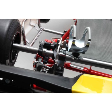 Chasis BirelArt Mini C28 S18 2025!