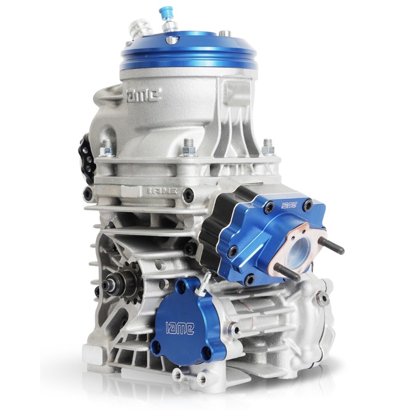 Engine IAME Parilla OKJ (Junior) Reedster V 2025!