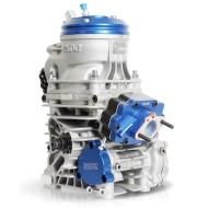 Engine IAME Parilla OKJ (Junior) Reedster V 2025!