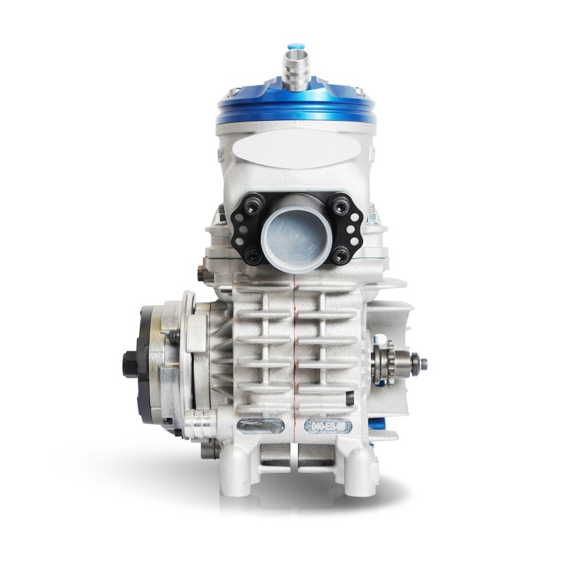 Motore Iame Parilla OK-N Reedster V 2025!