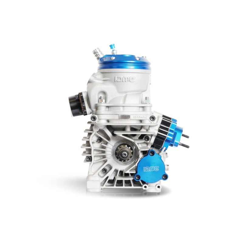 Motore Iame Parilla OK-N Reedster V 2025!