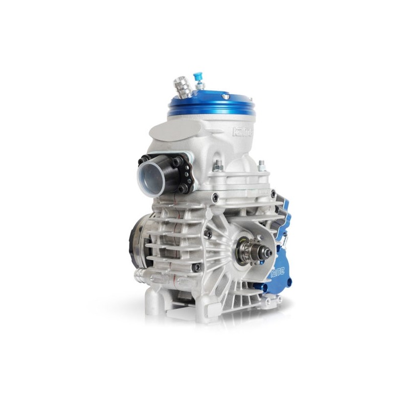 Engine IAME Parilla OK-N Reedster V 2025!