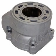 Cilindro Completo STANDARD TM KZ R2, MONDOKART, kart, go kart