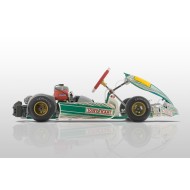 Telaio TonyKart Rookie Mini EVM 60cc 2025!!