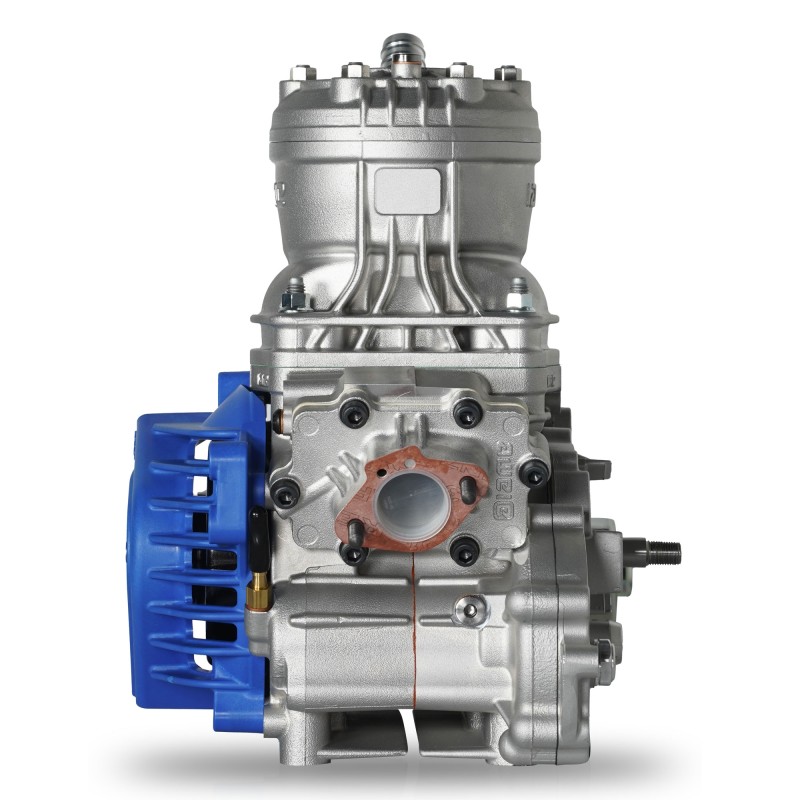 Motore Iame S125 - 125cc Completo NEW 2025!