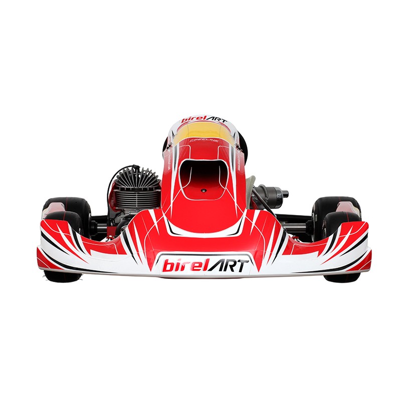 Completa Kart Birel Easykart 125cc NUEVO !!
