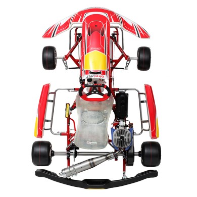 Kart completo Birel Easykart 100cc NEW!!