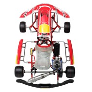 Kart completo Birel Easykart 100cc NEW!!