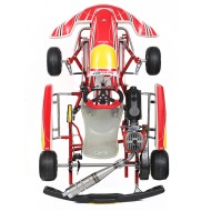 Kart completo Birel Easykart 60cc NEW!!