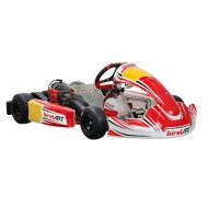 Kart completo Birel Easykart 60cc NEW!!