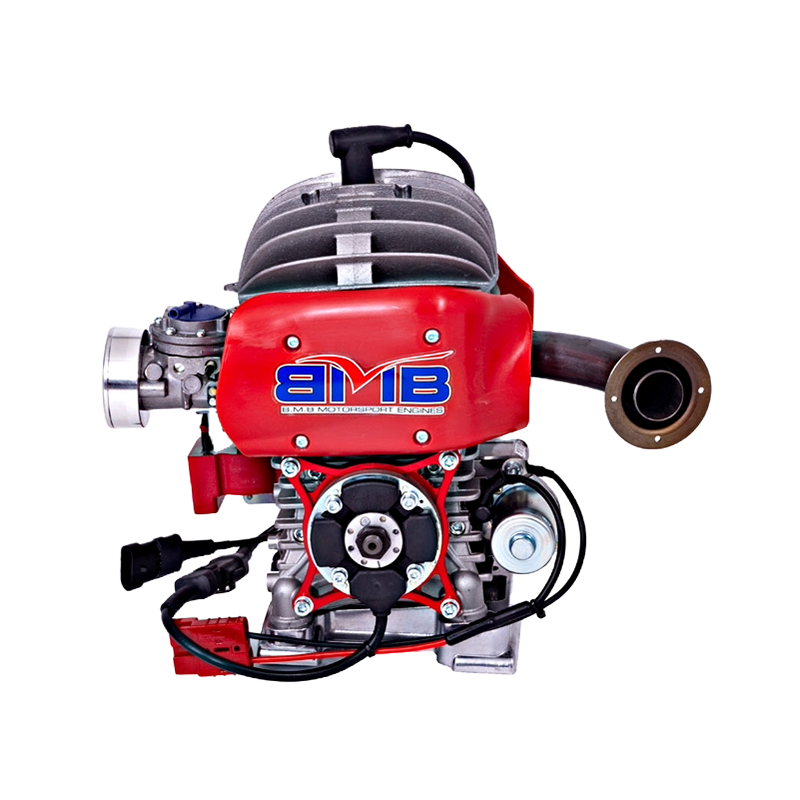 Motor 60cc EASYKART EKL BirelArt