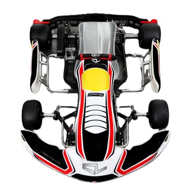 Chasis Charles Leclerc CL BirelArt CL 30-S18 - DD - OK OKJ 2025!