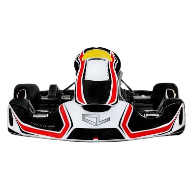 Chasis Charles Leclerc CL BirelArt CL 30-S18 - SH - KZ 2025!