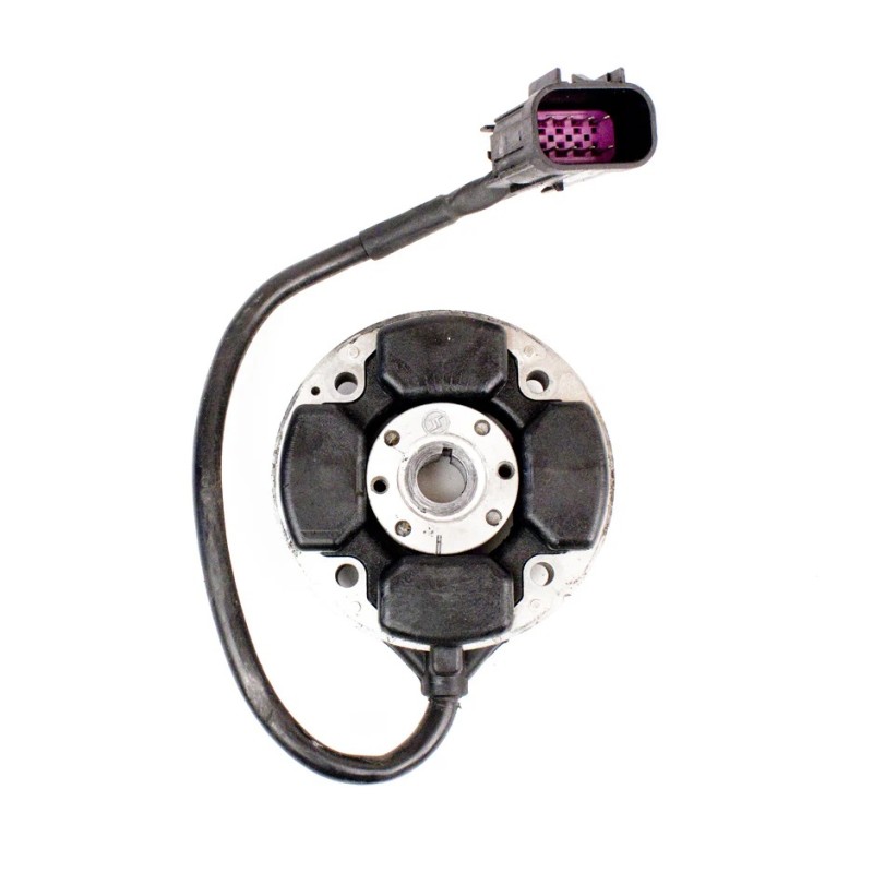 Encendido Selettra IAME X30 (2013-2015)