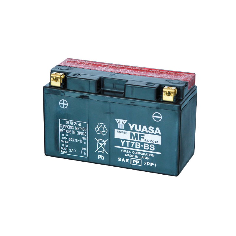 Batterie Standard Rotax DD2 Evo