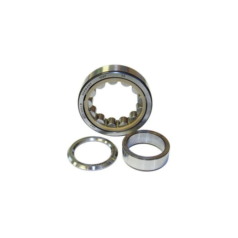 Cuscinetto a Rulli IAME X30 - SKF BC1-3342B