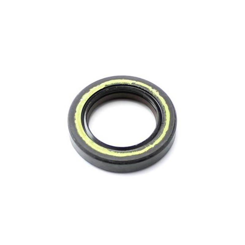 FPJ Joint SPI 25x38x7 double lèvre Teflon